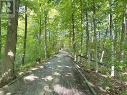Drive Way to Property - 