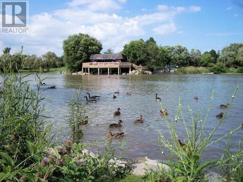 47 Hedgewood Drive, Markham, ON 