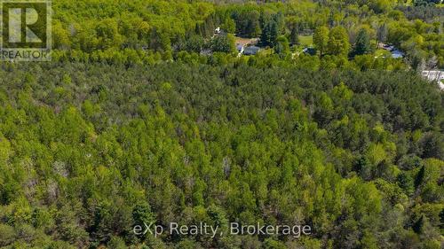 5716 County Road 9, Clearview, ON 