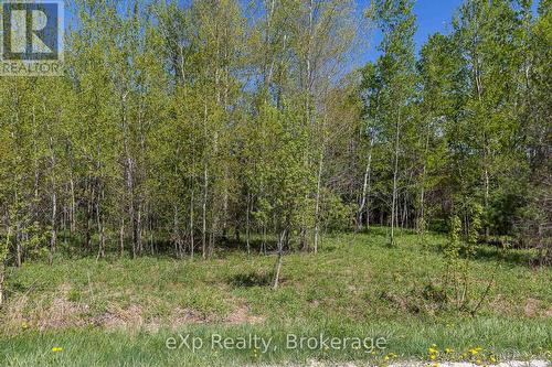 5716 County Road 9, Clearview, ON 