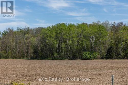 5716 County Road 9, Clearview, ON 