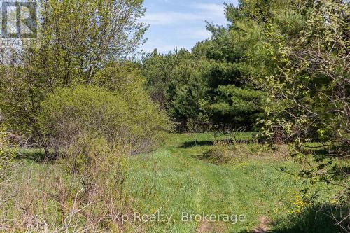 5716 County Road 9, Clearview, ON 