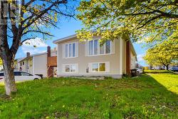 19 Forbes Street St. John's, NL A1E 3L3
