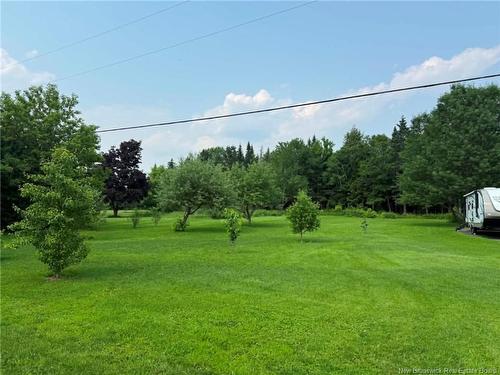 10 Coady St, Miramichi, NB 