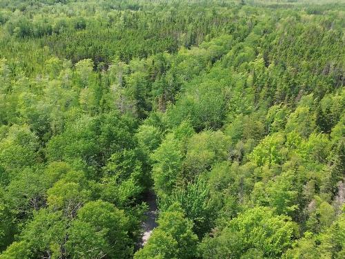 Lot Siding Road, Bayhead, NS 