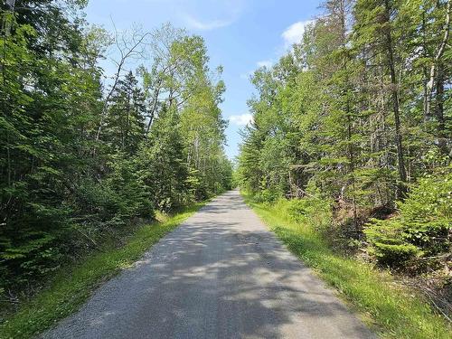 Lot Siding Road, Bayhead, NS 