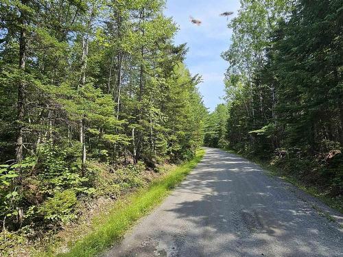 Lot Siding Road, Bayhead, NS 