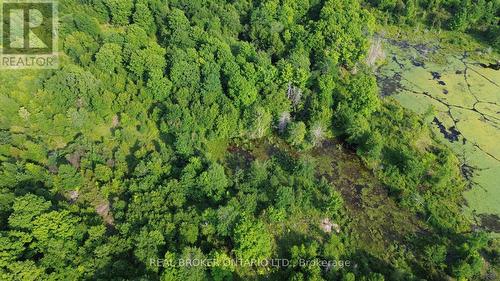 Lot 22 Mountain Road, Rideau Lakes, ON 