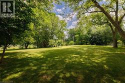 Expansive green lawn with mature trees providing dappled sunlight - 