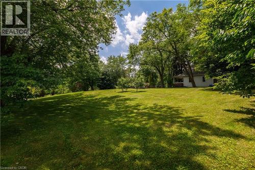Expansive green lawn surrounded by mature trees, featuring a distant white-sided residence with multiple windows - 176 Riverbank Drive, Cambridge, ON 
