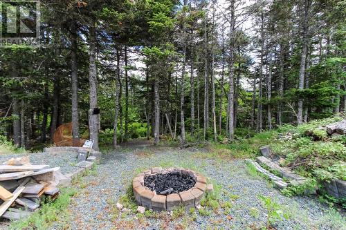 24 Forest River Road, Torbay, NL 