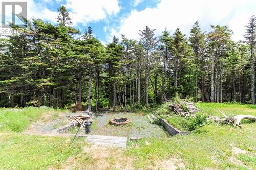 24 Forest River Road, Torbay, NL 