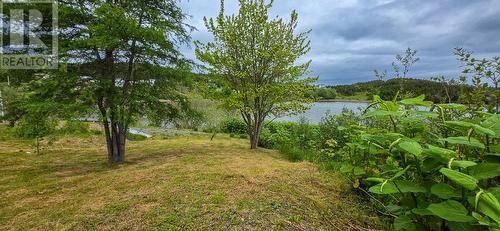 133 Main Road, Lewin'S Cove, NL 