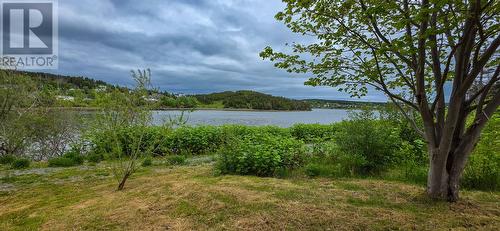 133 Main Road, Lewin'S Cove, NL 