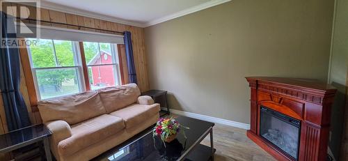 133 Main Road, Lewin'S Cove, NL 