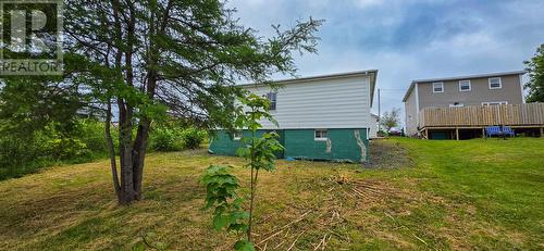 133 Main Road, Lewin'S Cove, NL 