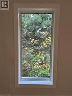 Vertical window with white trim, offering natural light and a green outdoor element - 