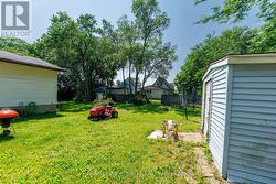 Backyard - 