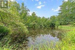 Private Pond - 
