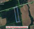 17.31 Acres - 7363 Sideroad 33 34 Road, Clearview, ON 