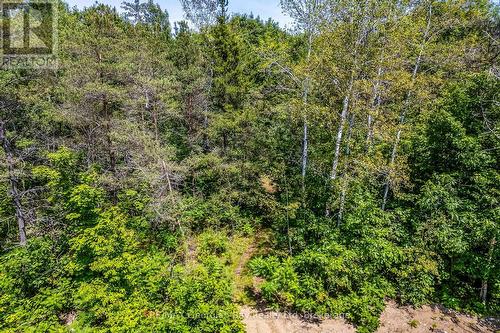 Lot 71 Whispering Pine Circle, Tiny, ON 