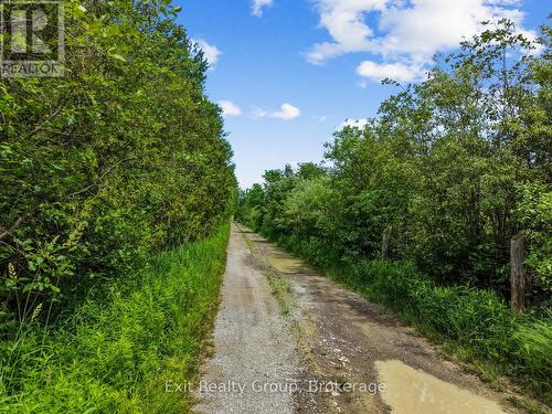 2487 Blezard Line, Otonabee-South Monaghan, ON 