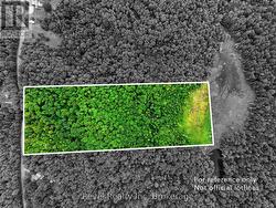 LOT 1 BIRD LAKE ROAD Bracebridge (Oakley), ON P1L 1X1