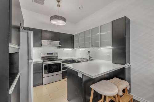 Cuisine - 108-550 8E Avenue, Québec (La Cité-Limoilou), QC - Indoor Photo Showing Kitchen With Double Sink