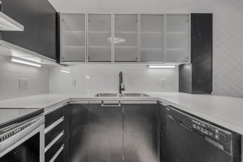 Cuisine - 108-550 8E Avenue, Québec (La Cité-Limoilou), QC - Indoor Photo Showing Kitchen With Upgraded Kitchen