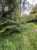 50 ROSE BUSH LANE Perry (Scotia), ON P0A 1J0