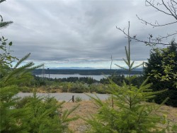 446 Thetis Dr Ladysmith, BC V9G 0A8