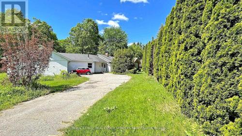 78 Arjay Crescent, Toronto, ON 