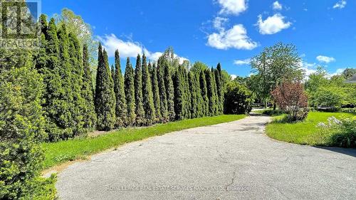 78 Arjay Crescent, Toronto, ON 