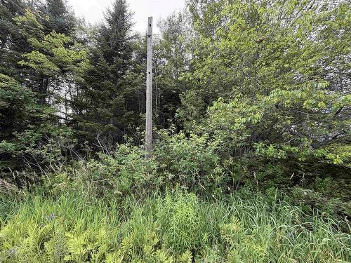 Lot 14 Highway 2, Alton, NS 
