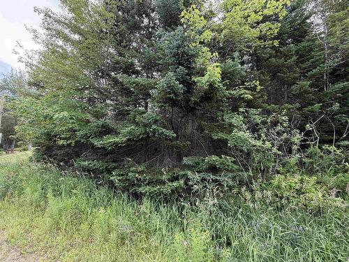 Lot 14 Highway 2, Alton, NS 
