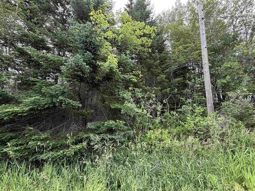 Lot 14 Highway 2, Alton, NS 