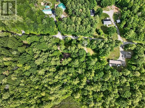 Pt Lt 18 Clear Lake Road, Rideau Lakes, ON 