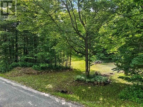 Pt Lt 18 Clear Lake Road, Rideau Lakes, ON 
