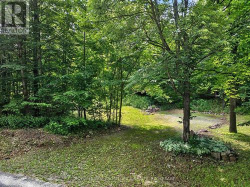 Pt Lt 18 Clear Lake Road, Rideau Lakes, ON 