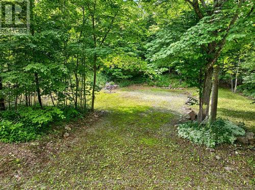 Pt Lt 18 Clear Lake Road, Rideau Lakes, ON 