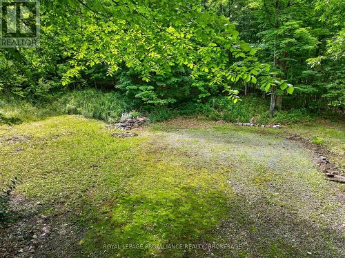 Pt Lt 18 Clear Lake Road, Rideau Lakes, ON 