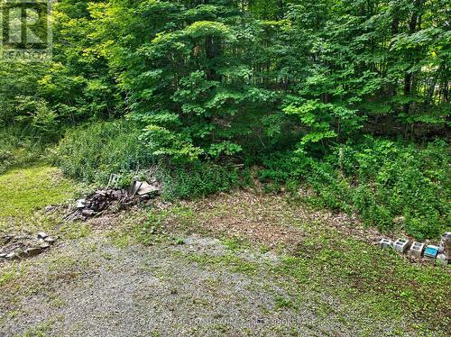 Pt Lt 18 Clear Lake Road, Rideau Lakes, ON 