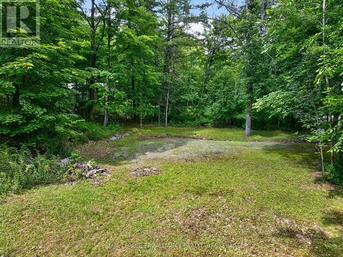 Pt Lt 18 Clear Lake Road, Rideau Lakes, ON 
