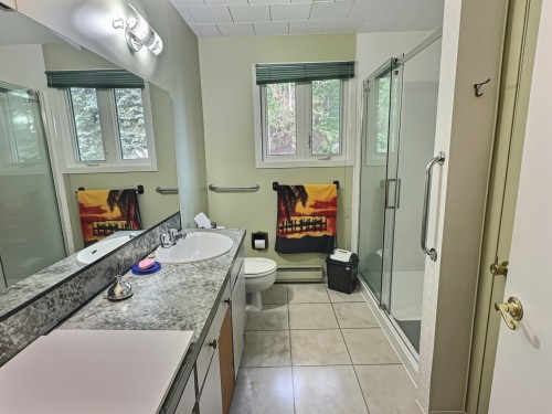 Salle de bains - 412 Av. Laliberté, Rouyn-Noranda, QC 
