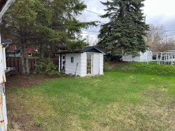 Shed - 