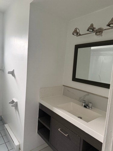 Bathroom - 325 Rue De Newport, Montréal (Lasalle), QC - Indoor Photo Showing Bathroom