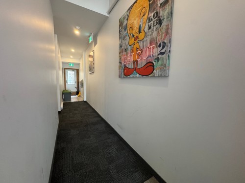 Corridor - 4-3993A Rue Hochelaga, Montréal (Mercier/Hochelaga-Maisonneuve), QC 