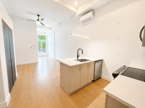 Vue d'ensemble - 4-3993A Rue Hochelaga, Montréal (Mercier/Hochelaga-Maisonneuve), QC 