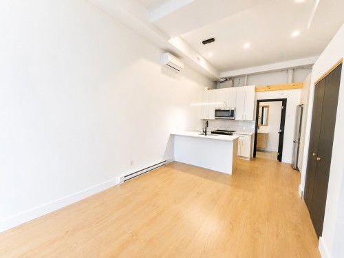 Vue d'ensemble - 4-3993A Rue Hochelaga, Montréal (Mercier/Hochelaga-Maisonneuve), QC 