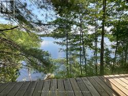 Lake view - 